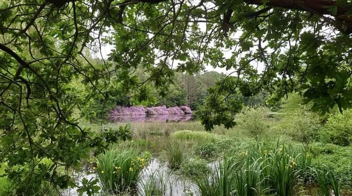 Les Jardins du Colombier — 3