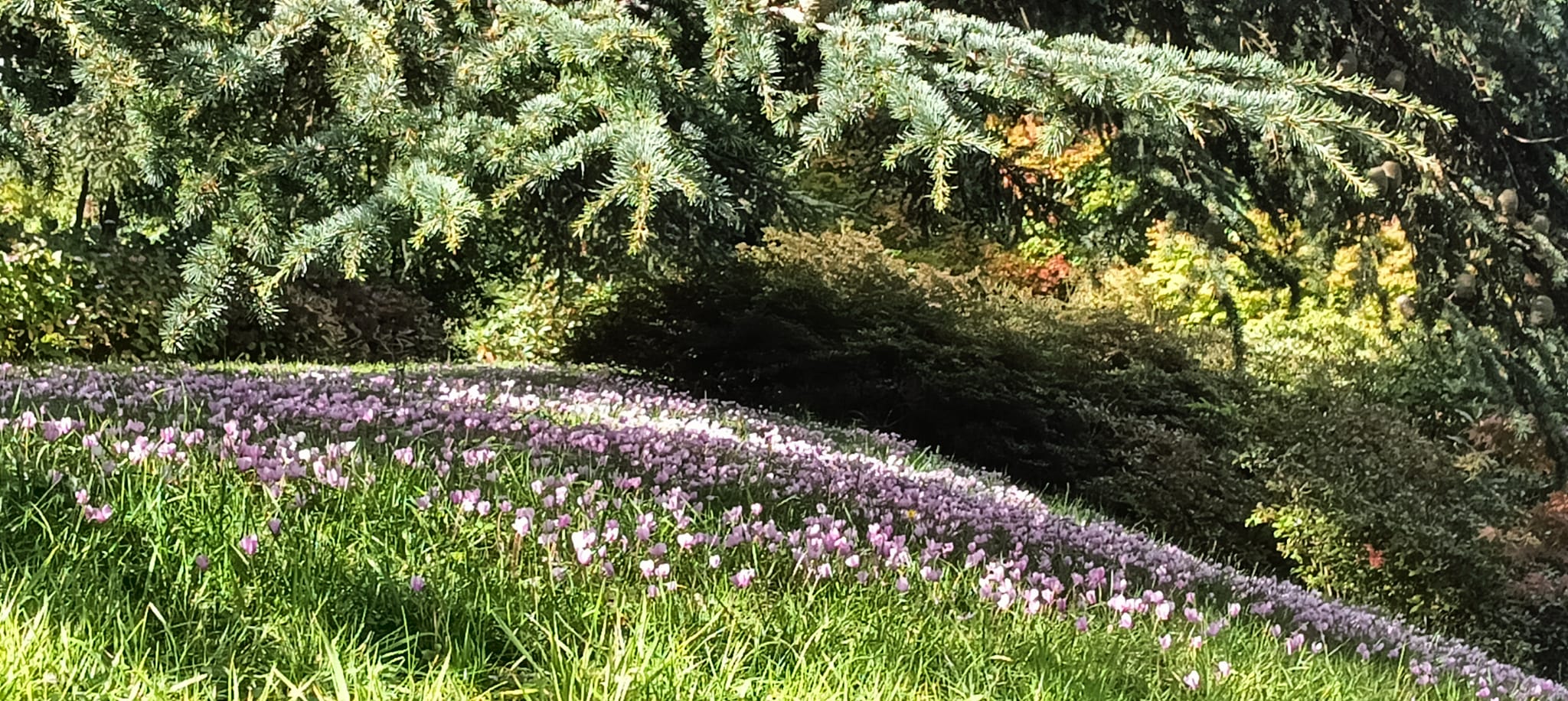 Les Jardins du Colombier — 4