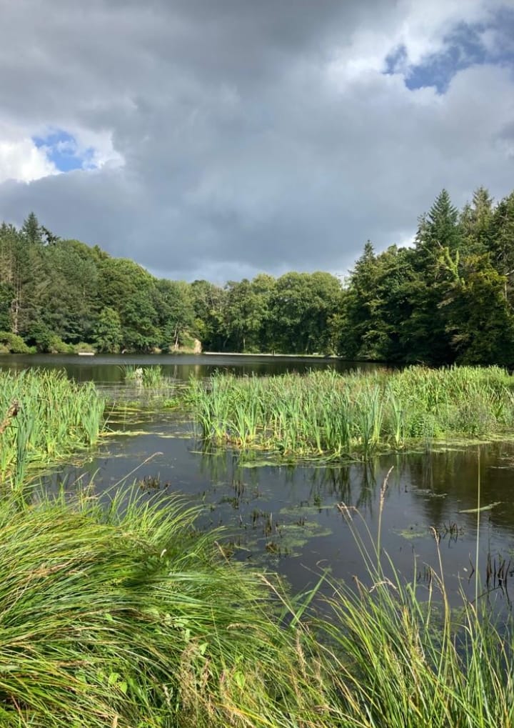 Les Jardins du Colombier — 6